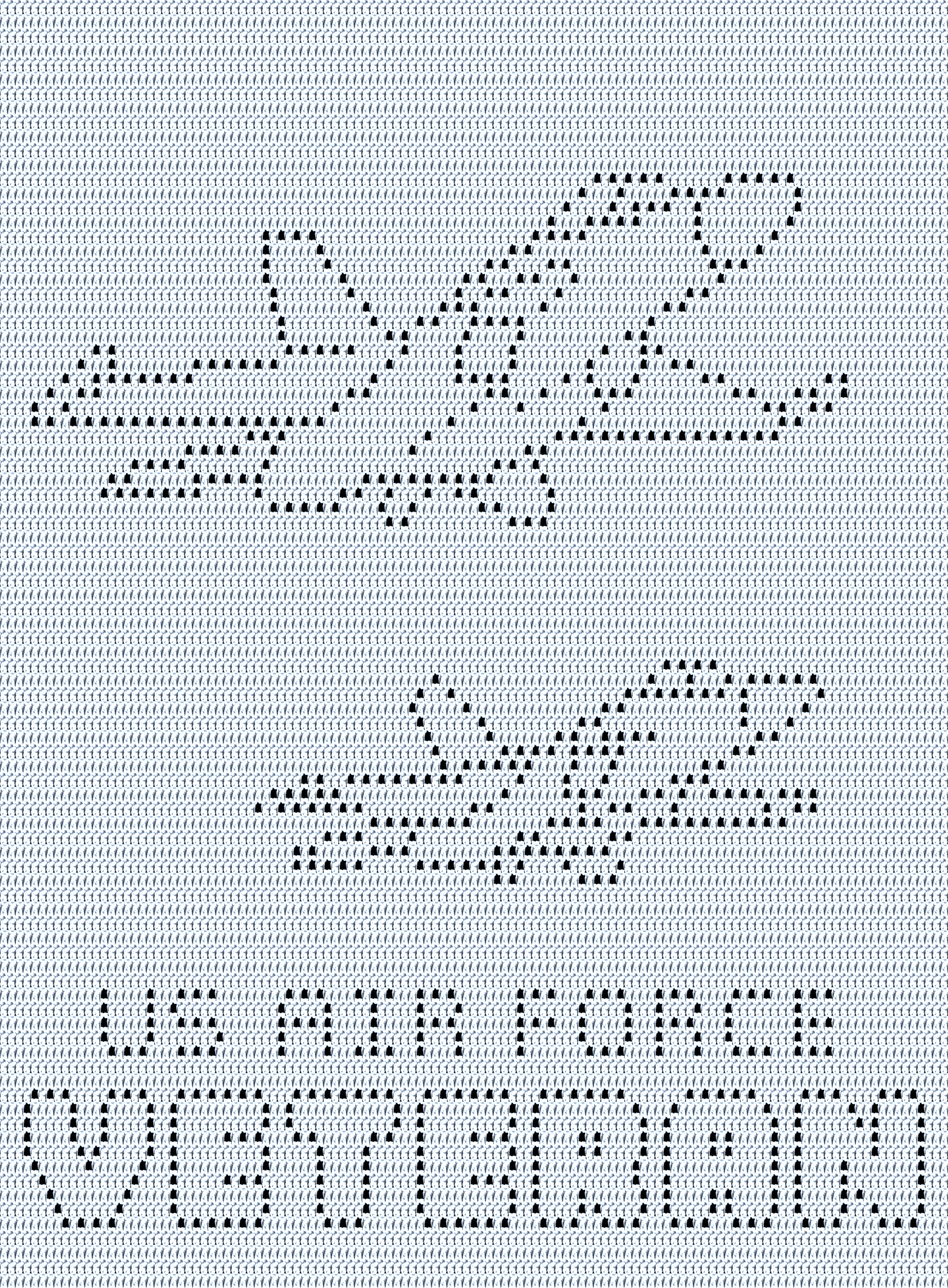 US Air Force